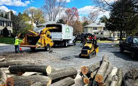 Best Sod Installation  in Kenworth, IL